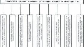 Что означает приватизация государственного и муниципального имущества в Фармаимпекс