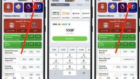 Как пользоваться FS Mobile