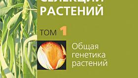 Как выводить драконов: руководство по селекции в Фармаимпекс