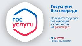 Почему долго открывается Госуслуги в Фармаимпекс