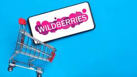 Почему на Wildberries предлагают большие скидки в Фармаимпекс