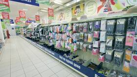 Стоимость метлы в магазинах Fix Price в Фармаимпекс