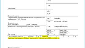 Вид платежа 2010 в таможенном деле: что это означает в Фармаимпекс